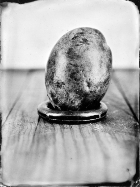 http://bcouradette.com/files/gimgs/th-63_Collodion_Prj_Exotique fruits_Benjamin_Couradette_2014100005_Small.jpg