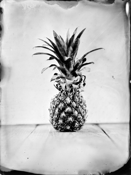 http://bcouradette.com/files/gimgs/th-63_Collodion_Prj_Exotique fruits_Benjamin_Couradette_2014100001_Small.jpg