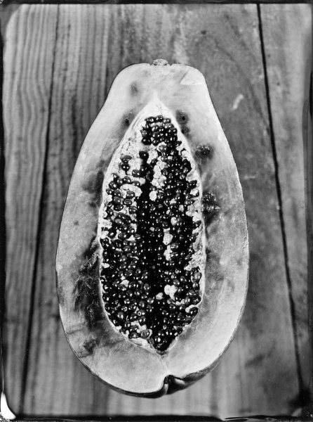 http://bcouradette.com/files/gimgs/th-63_Collodion_Prj_Exotique fruits_Benjamin_Couradette_2014100003_Small.jpg