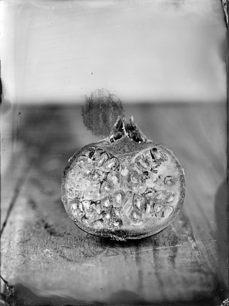http://bcouradette.com/files/gimgs/th-63_Collodion_Prj_Exotique fruits_Benjamin_Couradette_2014100004_Small.jpg
