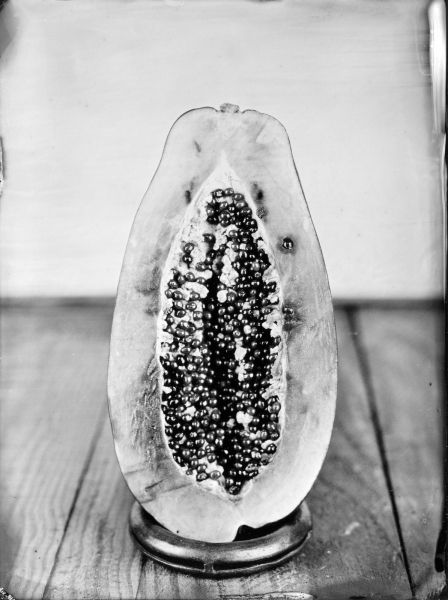 http://bcouradette.com/files/gimgs/th-63_Collodion_Prj_Exotique fruits_Benjamin_Couradette_2014100008_Small.jpg