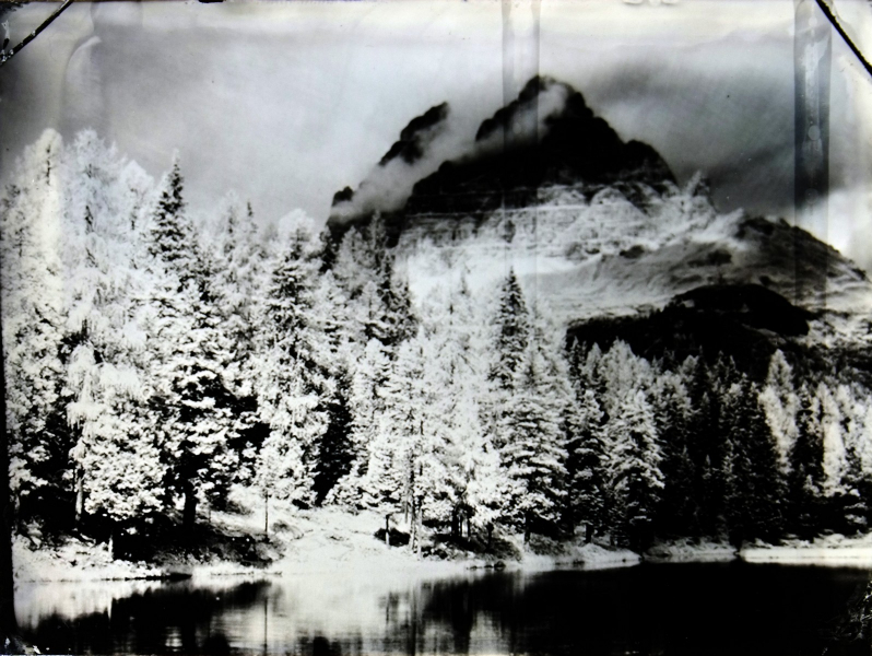 http://bcouradette.com/files/gimgs/th-74_2016_07_Collodion_Tree_Project_Benjamin_couradette_013.jpg